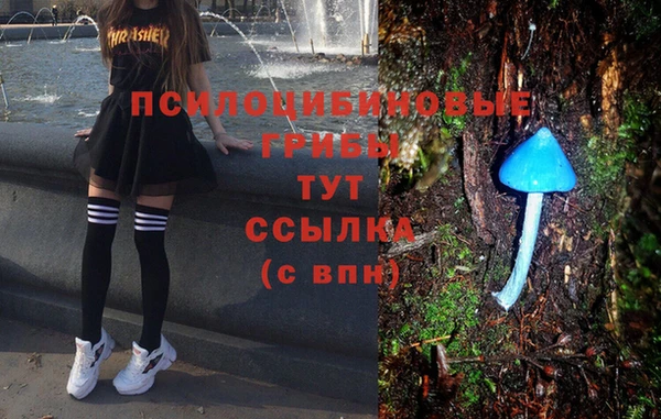 ECSTASY Верея