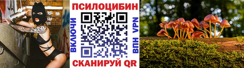 Галлюциногенные грибы Psilocybine cubensis  Любим 